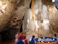 Wellington Caves Tour . . . CLICK TO ENLARGE