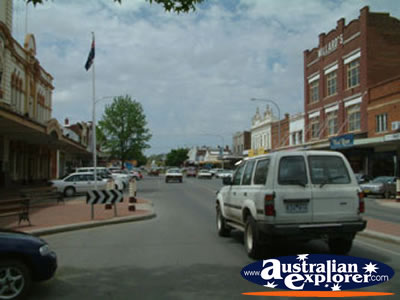 Young Main St . . . CLICK TO VIEW ALL YOUNG POSTCARDS