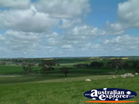 Road and Countryside Between Young and Boorowa . . . CLICK TO ENLARGE