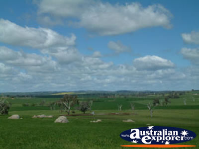 Vast and Beautiful Countryside Between Young and Boorowa . . . VIEW ALL YOUNG PHOTOGRAPHS