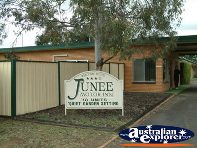 Junee Motor Inn Entrance . . . CLICK TO VIEW ALL JUNEE POSTCARDS