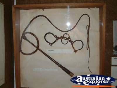 Uralla Museum Whip Display . . . CLICK TO VIEW ALL URALLA POSTCARDS