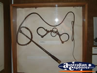 Uralla Museum Whip Display . . . CLICK TO ENLARGE