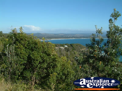 View of Trees from Byron Bay Lighthouse . . . CLICK TO VIEW ALL BYRON BAY (LIGHTHOUSE) POSTCARDS