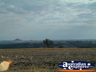 Another View Between Inverell & Warialda . . . VIEW ALL WARIALDA PHOTOGRAPHS