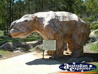 Wellington Caves Diprotodon . . . CLICK TO ENLARGE