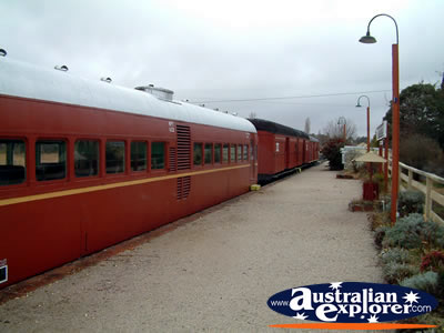 Tenterfield Railway Museum Train . . . CLICK TO VIEW ALL TENTERFIELD POSTCARDS