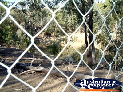 Warialda Cranky Rock Fence . . . CLICK TO VIEW ALL WARIALDA POSTCARDS