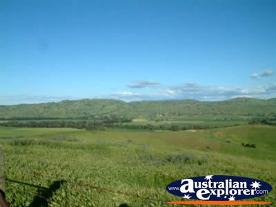 The paddock view from the Lookout at Gundagai . . . CLICK TO VIEW ALL GUNDAGAI POSTCARDS