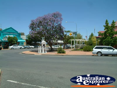 Hay Main Street . . . CLICK TO VIEW ALL HAY POSTCARDS