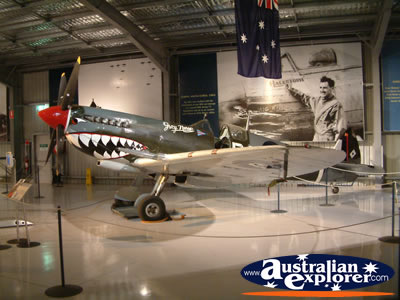 Temora Aviation Museum Shark Plane . . . CLICK TO VIEW ALL TEMORA POSTCARDS