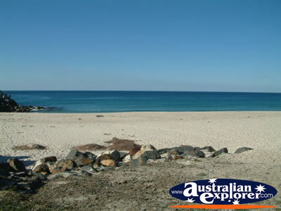 Forster's Shore . . . CLICK TO VIEW ALL FORSTER POSTCARDS