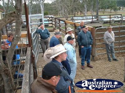 People at Gloucester Sale Yards . . . VIEW ALL GLOUCESTER PHOTOGRAPHS