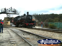 Lithgow Steam Train at Zig Zag Railway . . . CLICK TO ENLARGE