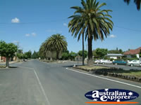 Culcairn Street . . . CLICK TO ENLARGE
