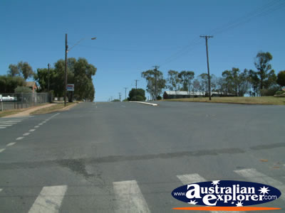 Street from Concobolin Shire Council . . . CLICK TO VIEW ALL CONDOBOLIN POSTCARDS