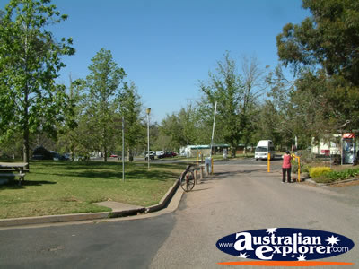 Lake Talbot Caravan Park in Narrandera . . . CLICK TO VIEW ALL NARRANDERA POSTCARDS