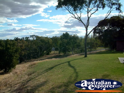 Narrandera, Lake Talbot Caravan Park . . . VIEW ALL NARRANDERA PHOTOGRAPHS