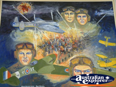 Narrandera Tiger Moth Memorial Mural . . . VIEW ALL NARRANDERA PHOTOGRAPHS