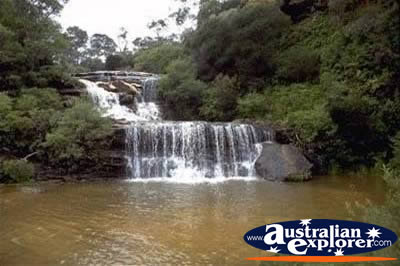Blue Mountains Waterfall . . . CLICK TO VIEW ALL WALLAMAN FALLS POSTCARDS