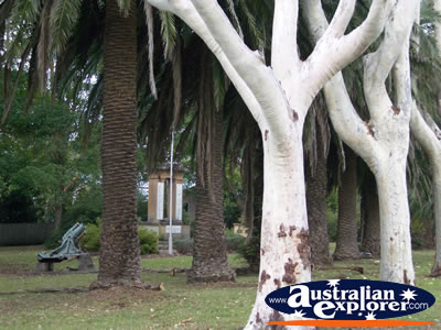 Bomaderry Park . . . CLICK TO VIEW ALL BOMADERRY POSTCARDS