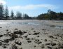 Brunswick Heads River