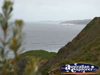 Headland at Cape Byron . . . CLICK TO ENLARGE