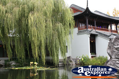 Chinese Gardens . . . CLICK TO VIEW ALL SYDNEY POSTCARDS