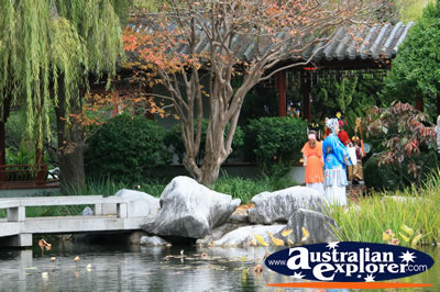 Chinese Garden . . . CLICK TO VIEW ALL SYDNEY POSTCARDS