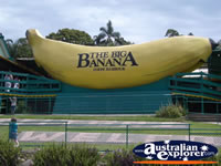Big Banana in Coffs Harbour . . . CLICK TO ENLARGE