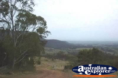 Hunter Valley View . . . CLICK TO VIEW ALL HUNTER VALLEY POSTCARDS