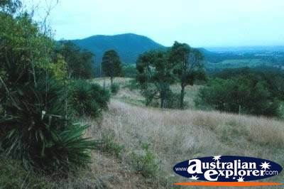Landscape of the Hunter Valley . . . CLICK TO VIEW ALL HUNTER VALLEY POSTCARDS