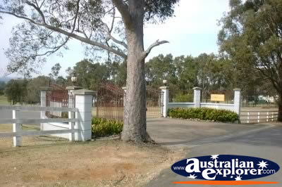 Hunter Valley Winery Entrance . . . CLICK TO VIEW ALL HUNTER VALLEY POSTCARDS