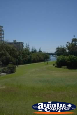 Parkland in Port Macquarie . . . CLICK TO VIEW ALL PORT MACQUARIE POSTCARDS