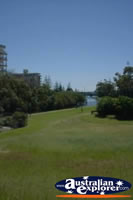 Parkland in Port Macquarie . . . CLICK TO ENLARGE