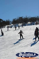 Skiing down the Slope of the Snowy Mountains . . . CLICK TO ENLARGE