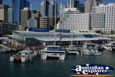 Sydney Aquarium . . . CLICK TO VIEW ALL SYDNEY HARBOUR POSTCARDS