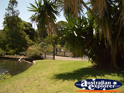 Landscape of Sydney Botanical Gardens . . . CLICK TO VIEW ALL SYDNEY (BOTANICAL GARDENS) POSTCARDS