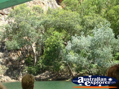 Katherine Gorge Bushes . . . CLICK TO VIEW ALL KATHERINE GORGE POSTCARDS