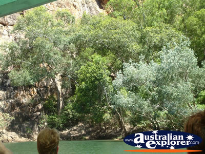 Katherine Gorge Bushes . . . VIEW ALL KATHERINE GORGE PHOTOGRAPHS