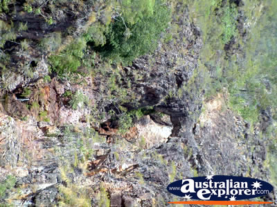 Batchelor Tolmer Fall . . . VIEW ALL BATCHELOR PHOTOGRAPHS