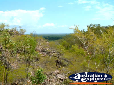Sunny View over Litchfield National Park . . . CLICK TO VIEW ALL BATCHELOR POSTCARDS