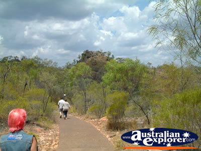 Batchelorpath to Tolmer Falls . . . VIEW ALL BATCHELOR PHOTOGRAPHS