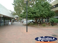 Alice Springs Todd Mall Garden . . . CLICK TO ENLARGE