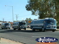 Alice Springs Transport Hall of Fame Parade Buses . . . CLICK TO ENLARGE