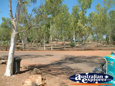View from Mataranka Homestead Resort  . . . VIEW ALL MATARANKA PHOTOGRAPHS
