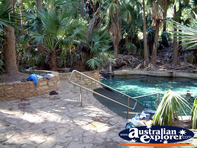 Mataranka Hot Springs pool . . . VIEW ALL MATARANKA PHOTOGRAPHS