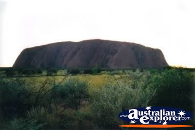 Ayers Rock from a Distance . . . CLICK TO VIEW ALL ULURU POSTCARDS