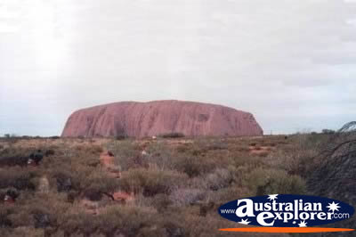 Ayers Rock on a Cloudy Day . . . CLICK TO VIEW ALL ULURU POSTCARDS