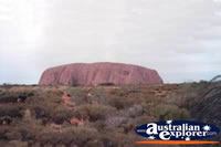 Ayers Rock on a Cloudy Day . . . CLICK TO ENLARGE